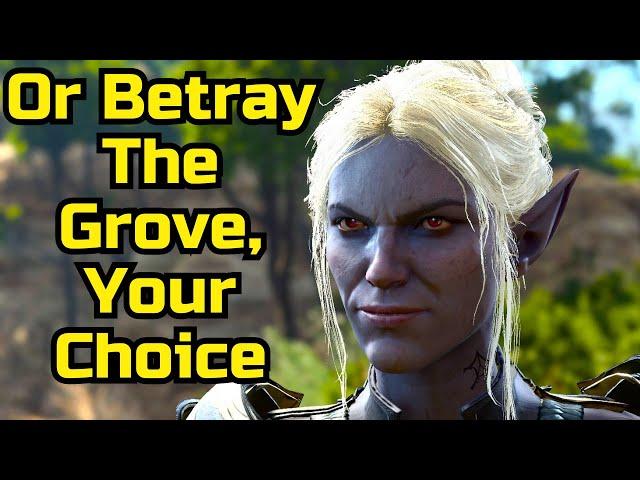 How to Start The Grove Defence in Act 1 of Baldur's Gate 3