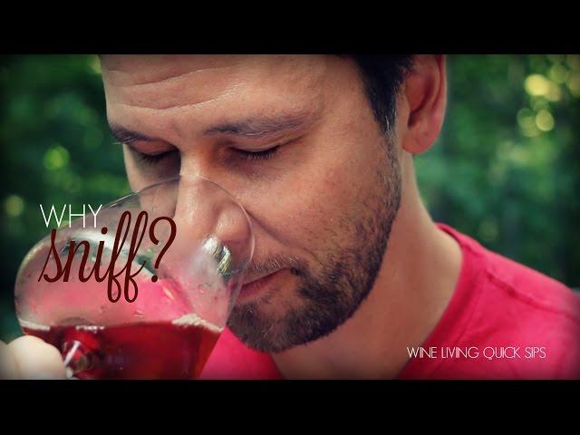 Wine Tasting Basics: Why Sniff a Wine?