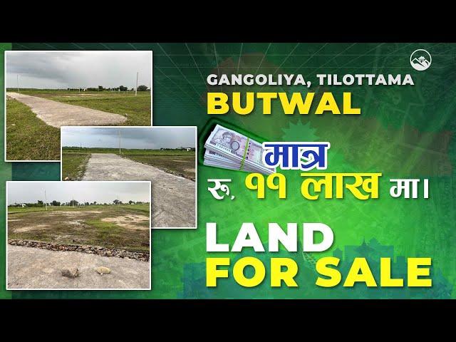 8.5 Dhur Land For Sale In Tilottama Gangoliya Butwal @ 11Lakhs