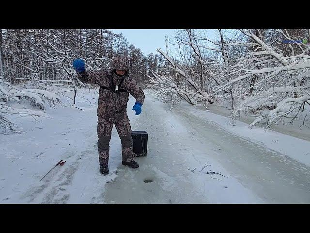 РЕКА ЗАБИТА ОГРОМНЫМИ ТАЙМЕНЯМИ! САХАЛИНСКИЙ ТАЙМЕНЬ часть 2