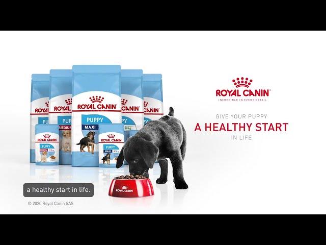 Royal Canin Puppy DVC 2022 15s (Philippines)