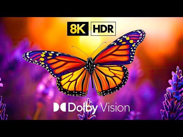 The Best Dolby Vision™ 8K HDR in 60 FPS