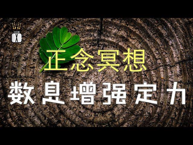 【正念冥想课程】数息增强定力丨风吹麦浪