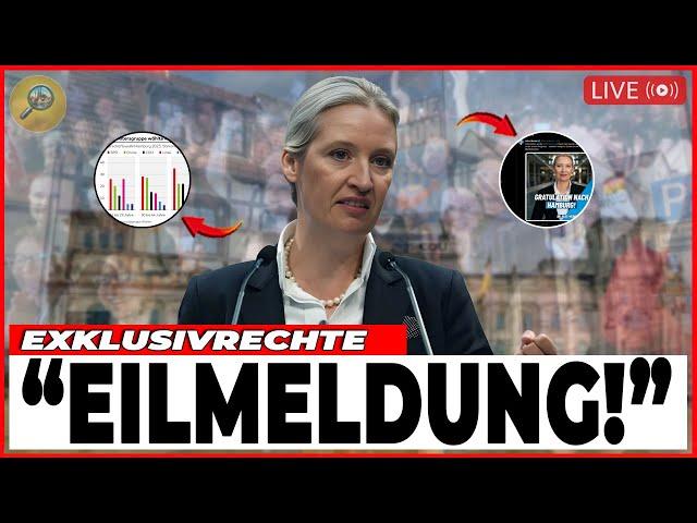 VOR 3 MINUTEN!11.000 Abstimmung — Wie WEIDELS rechte Partei Partei in Hamburg Deutschland erobert!