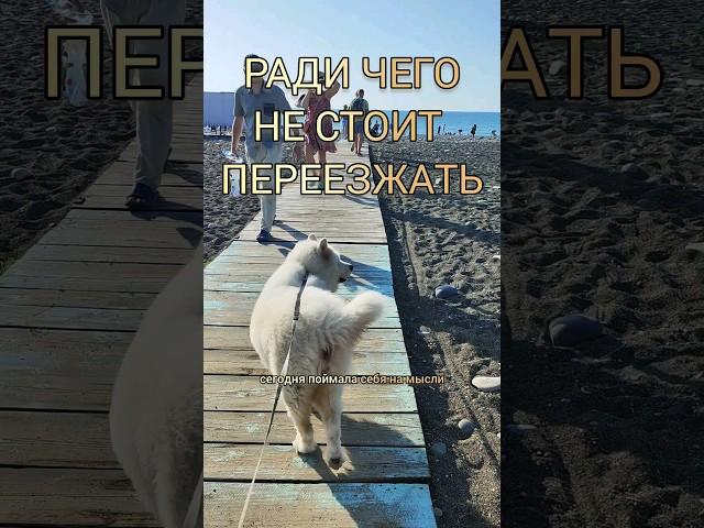 КАК ЖЕ ХОРОШО ЖИТЬ НА МОРЕ ПРОСТО РАЙ #батуми #грузия #переезд #море
