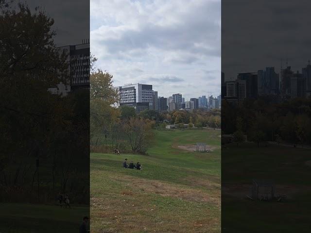 Fall in Toronto #travel  #canada #tor