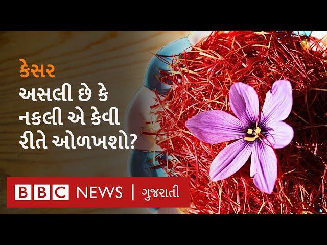 Saffron Farming: તમે ખરીદેલું મોંઘું કેસર અસલી છે કે નકલી એ કેવી રીતે ઓળખશો? Real vs Fake Saffron