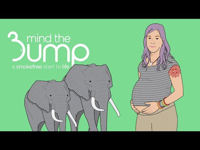 Mind The Bump:  The adventurer (HD)