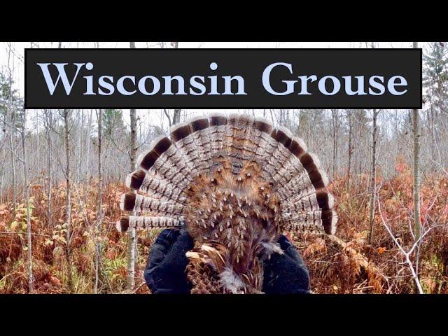 Wisconsin Ruffed Grouse and Woodcock