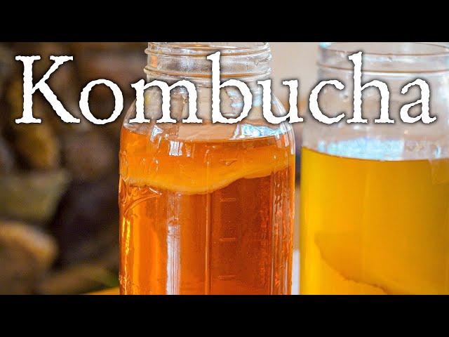 Making Kombucha From Our First Homemade Scoby