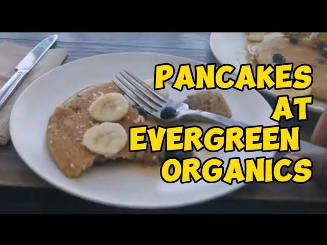 #vegangsta #evergreenorganic #pancake vegangsta has breakfast at Evergreen Organics