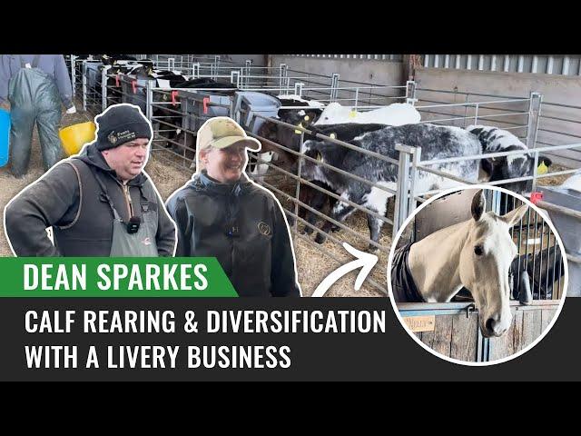 Calf Rearing and Diversification with a Livery Business, Dean Sparkes