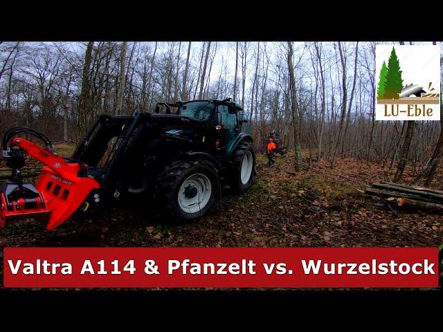 Valtra A114 / Pfanzelt Seilwinde / Wurzelstock für Rückegasse entfernen / Schwarzwald