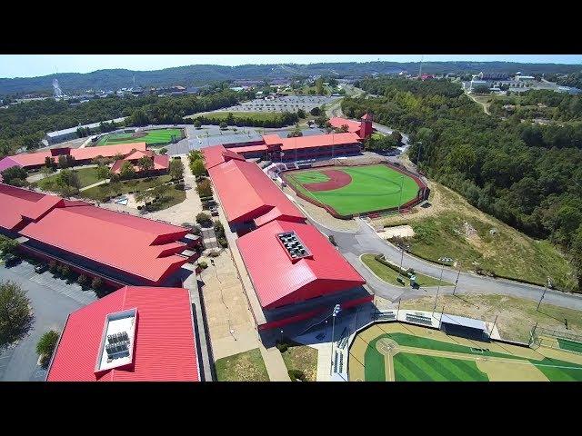 The Ultimate Youth Baseball Exerience