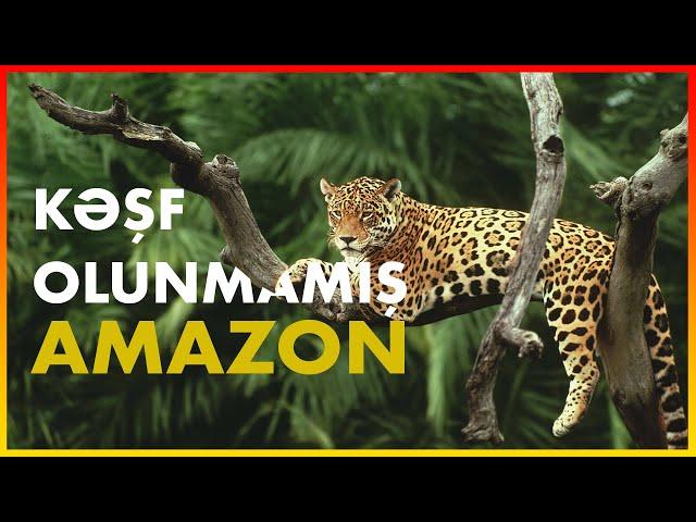 Kəşf Olunmamış Amazon - HEYVANLAR ALƏMİ - Elm Azərbaycan