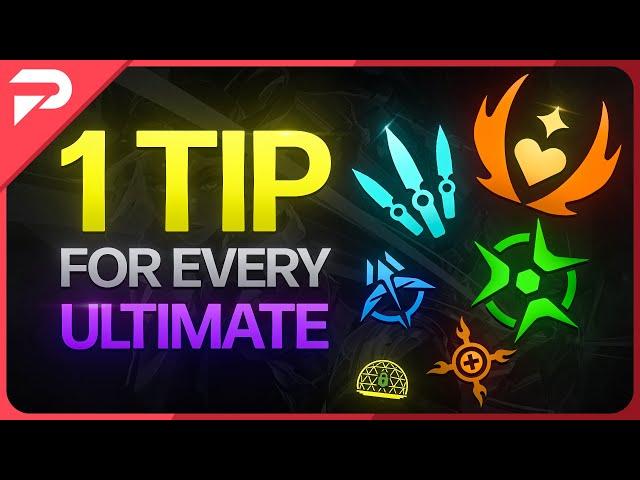 1 Essential Tip For Every Ultimate!