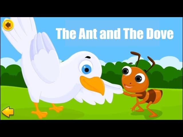 The Ant and The Dove | Best Short Stories for Kids in English | Bedtime Story