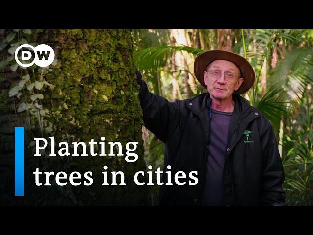 Can trees stop climate change? | DW Documentary