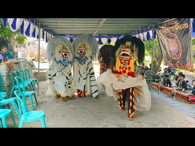 Barongan Gemblak Ganas Banget!! Barongan Galak Live Plawangan - WONG WORO