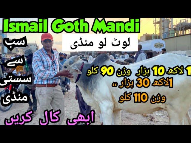 Ismail Goth Mandi latest update 23 may 2025 | | Bakra mandi |Karachi cattle latest update 2025