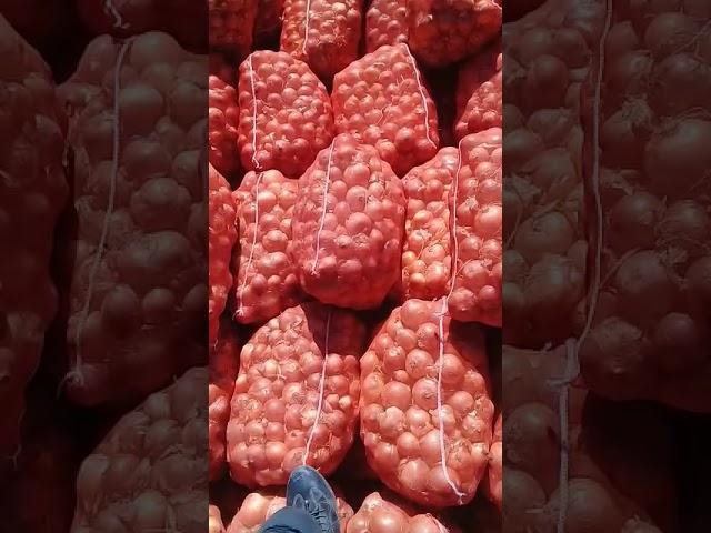 صادرات به عراق