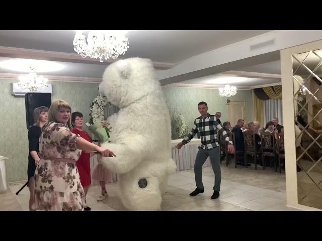 ‍️️СТЕБНИЦЬКИЙ ВЕДМЕДИК️‍️ В С. Доброгостів