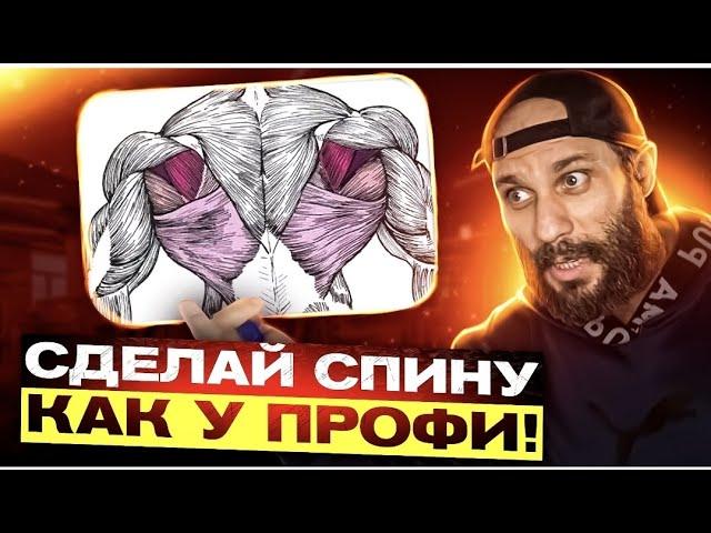 ПОЛНОЕ РУКОВОДСТВО ПО НАКАЧКЕ СПИНЫ!