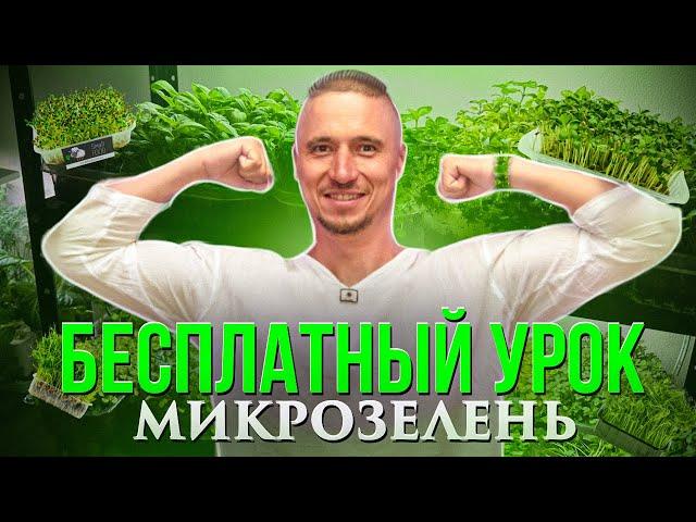 Microgreens Green Chef