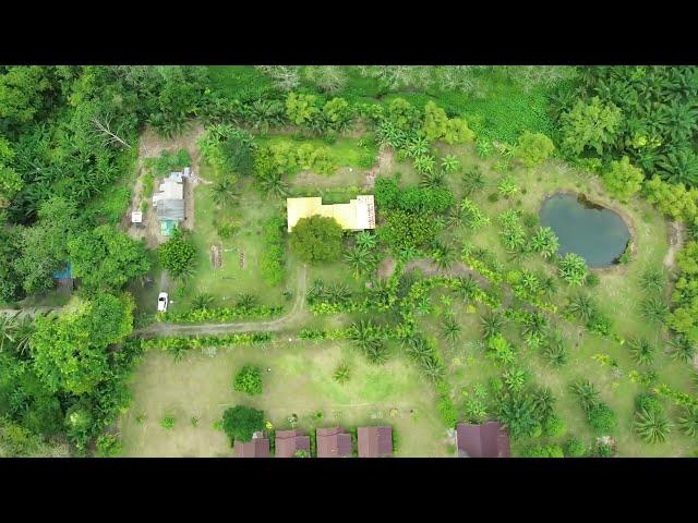 7 Rai Land with Structures and Mountain View for Sale in Khok Kloi, Phangnga