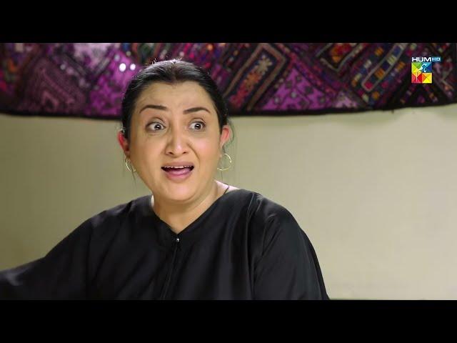 Vicky Kahan Gaya ?? Ibn-e-Hawwa - HUM TV