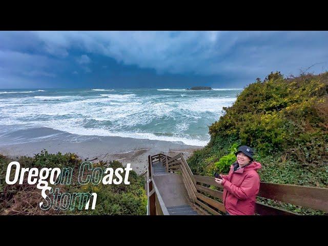 Oregon Coast Rainy Day Survival Guide:  Top 10 Fun Things to Do!