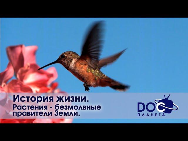 История жизни - Часть 1. Растения - безмолвные правители Земли  - Документальный фильм
