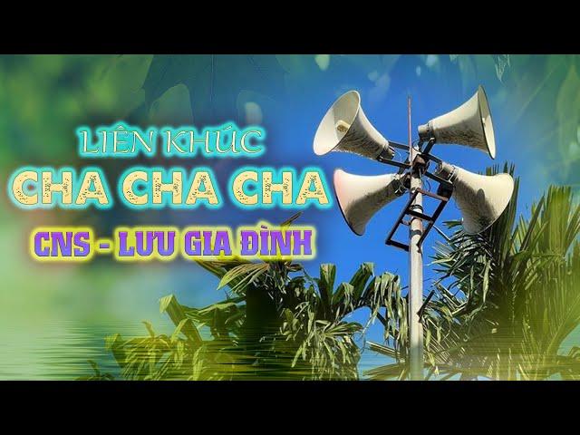 Liên Khúc Cha Cha Cha - Lưu Gia Đình - Mới Nhất