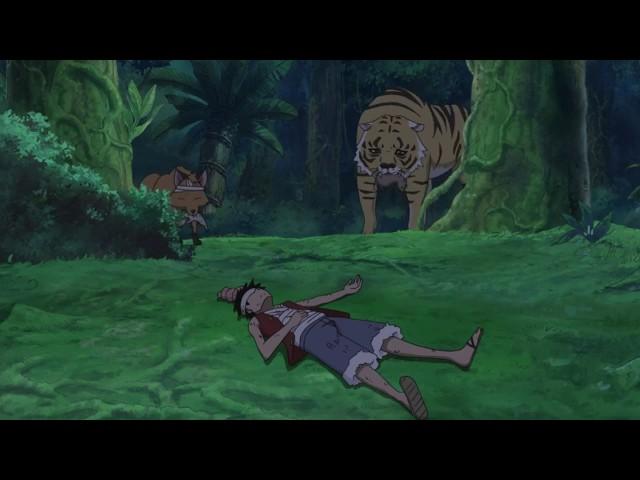 Luffy trains with animals his observation haki to pass the test of rayleigh