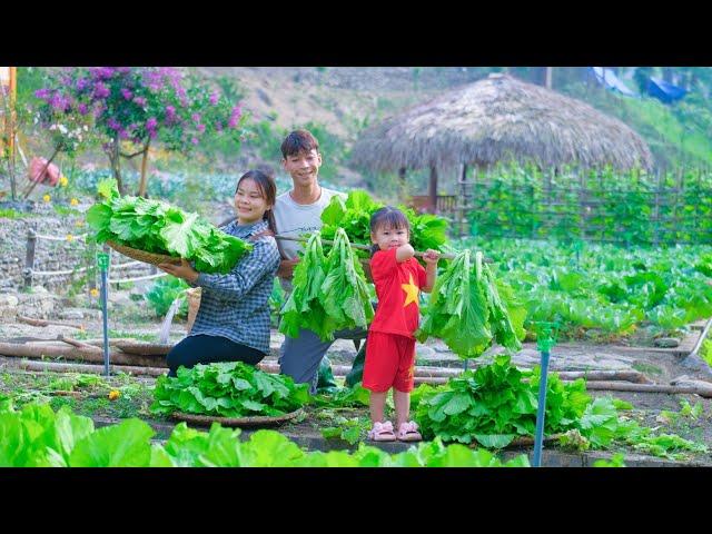 AMAZING! Harvest huge clean vegetables to sell at the market, build aquaculture ponds and Garden