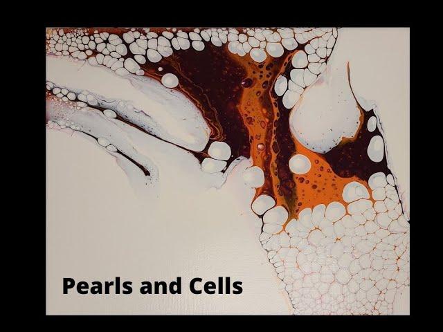 Pearls, Cells, and Negative Space.  Fluid Art - Recipe