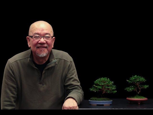 Overwintering Bonsai, with Hong, 2016