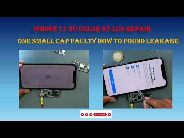 IPHONE 11 No Color on LCD Repair