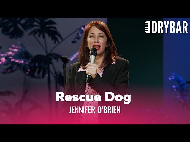 When Rescuing A Dog Just Isn't For You. Jennifer O'Brien