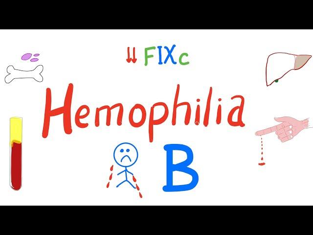 Hemophilia B