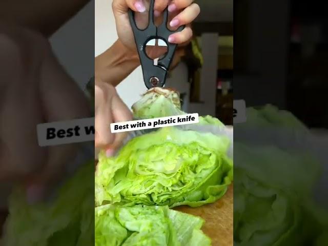 Keep your lettuce fresh for up to a month  #cooking #storage #zerowaste #healthylifestyle