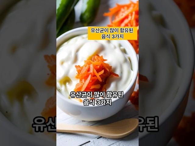 유산균과 프로바이오틱스가 많아 장건강에 최고인 음식 3가지 #유산균추천 #프로바이오틱스 #락토바실러스 #유산균이함유된음식 #장건강에최고인음식