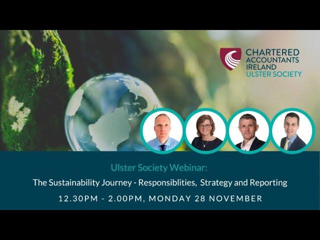 The Sustainability Journey: Responsibilities, Strategy and Reporting