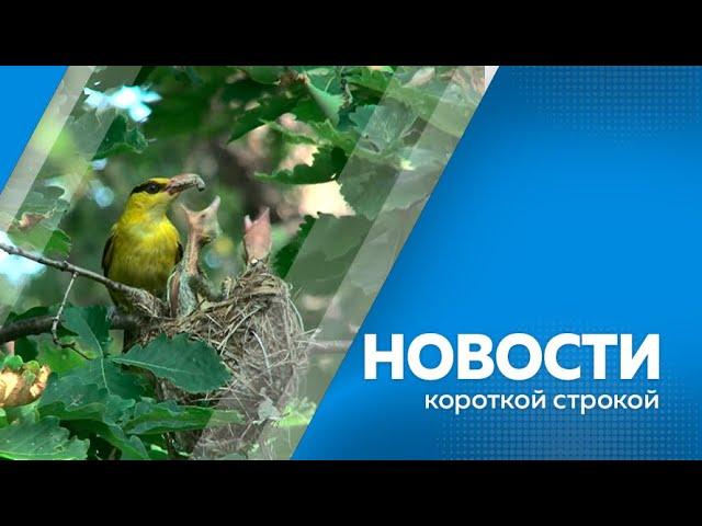 Новости короткие 04.07.2024г