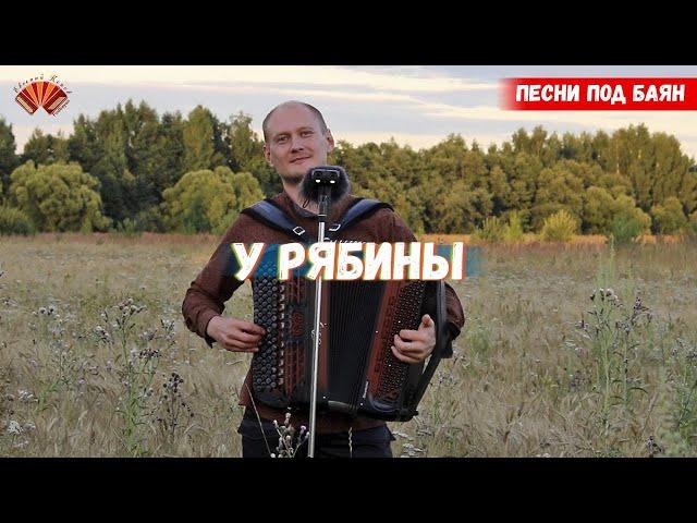 Над широкой рекой/ Евгений Попов - баянист/ Песни под баян.