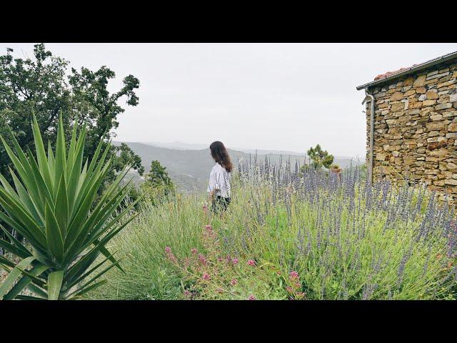 #97 Lush Mediterranean Garden (One Year Later) | Renovating our Abandoned Stone House in Italy