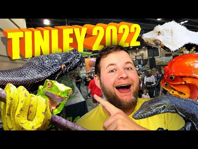 RARE REPTILES EVERYWHERE!!! | NARBC Tinley REPTILE EXPO 2022