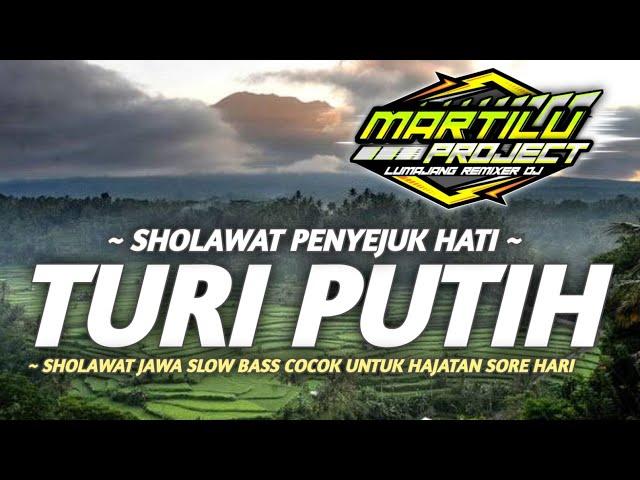 DJ SHOLAWAT JAWA||DJ SHOLAWAT TURI PUTIH||dj sholawat terbaru2023