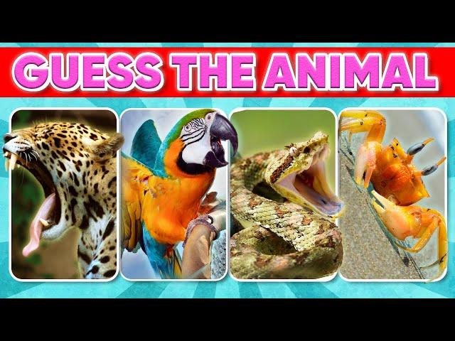 how well bo you know Animals Knowledge ,70 Animals Knowledge Trivia Quiz ,guess animals Knowledge