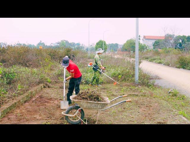 Restore sidewalks overgrown with grass